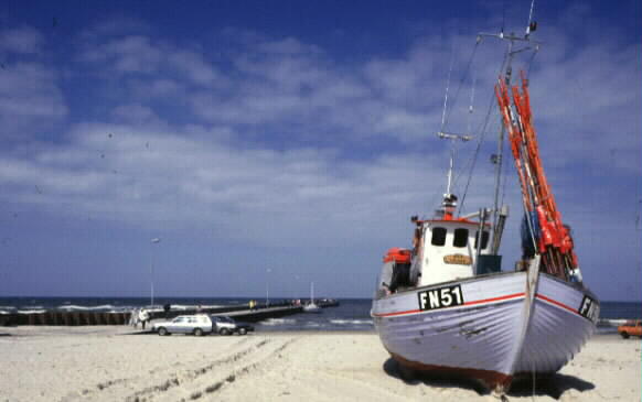 Fiskeb�t