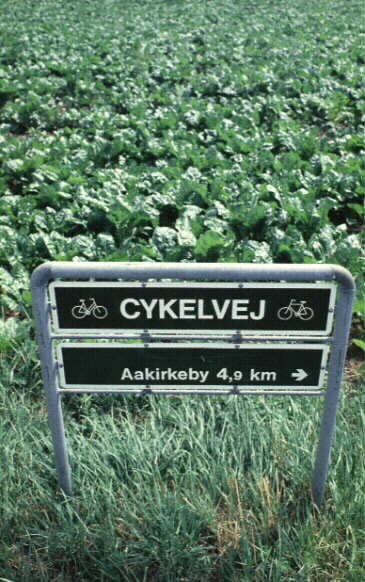 Cykelv�g